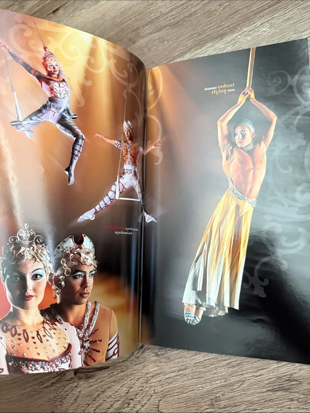 Vintage Cirque du Soleil ALEGRÍA Official Tour Program Book (1994)